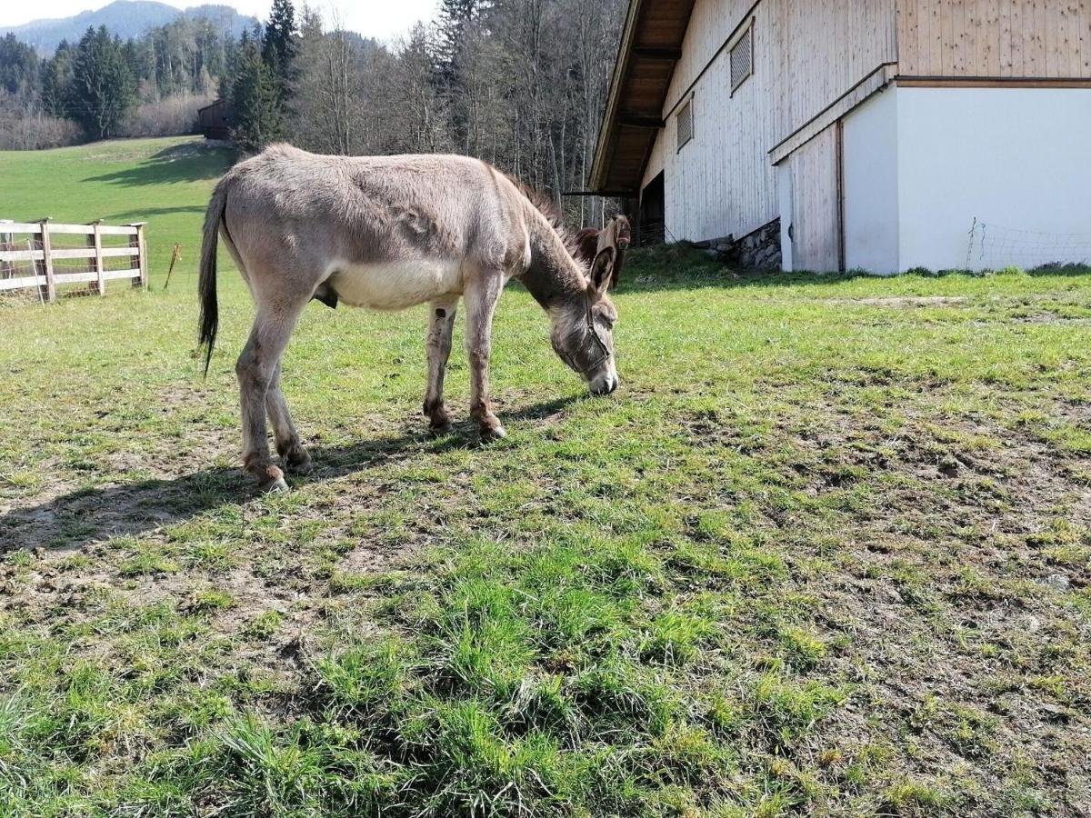 Holiday On An Organic Farm In ハート・イム・ツィラータール エクステリア 写真